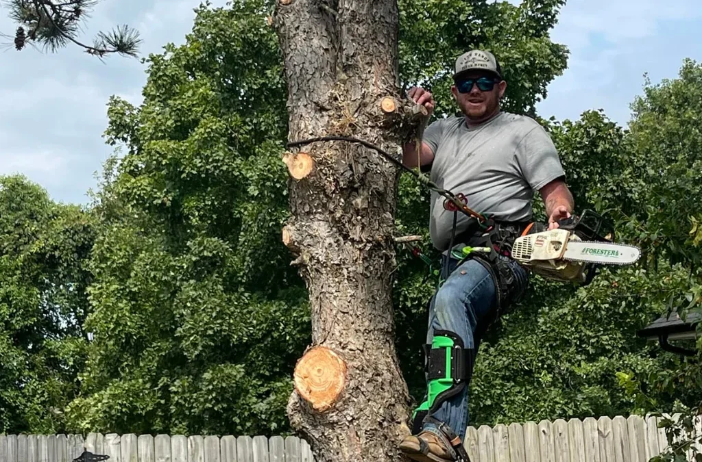 St. Charles, MO Commercial Maintenance Services